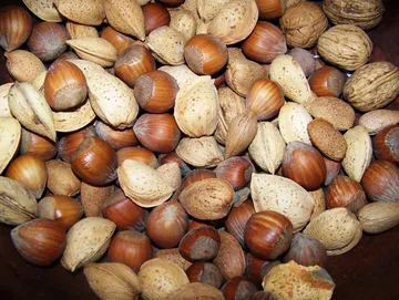 Assorted nuts in shells, mixed varieties.