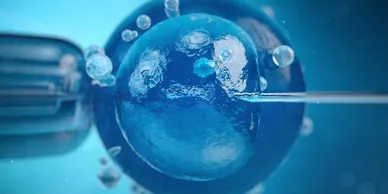 Semen or Sperm Count Analysis - £ see below