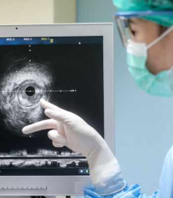 Medical professional examines ultrasound scan on a computer screen.